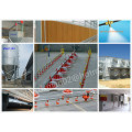 Automatic Poultry Raising Equipment for Broiler and Farm Construction